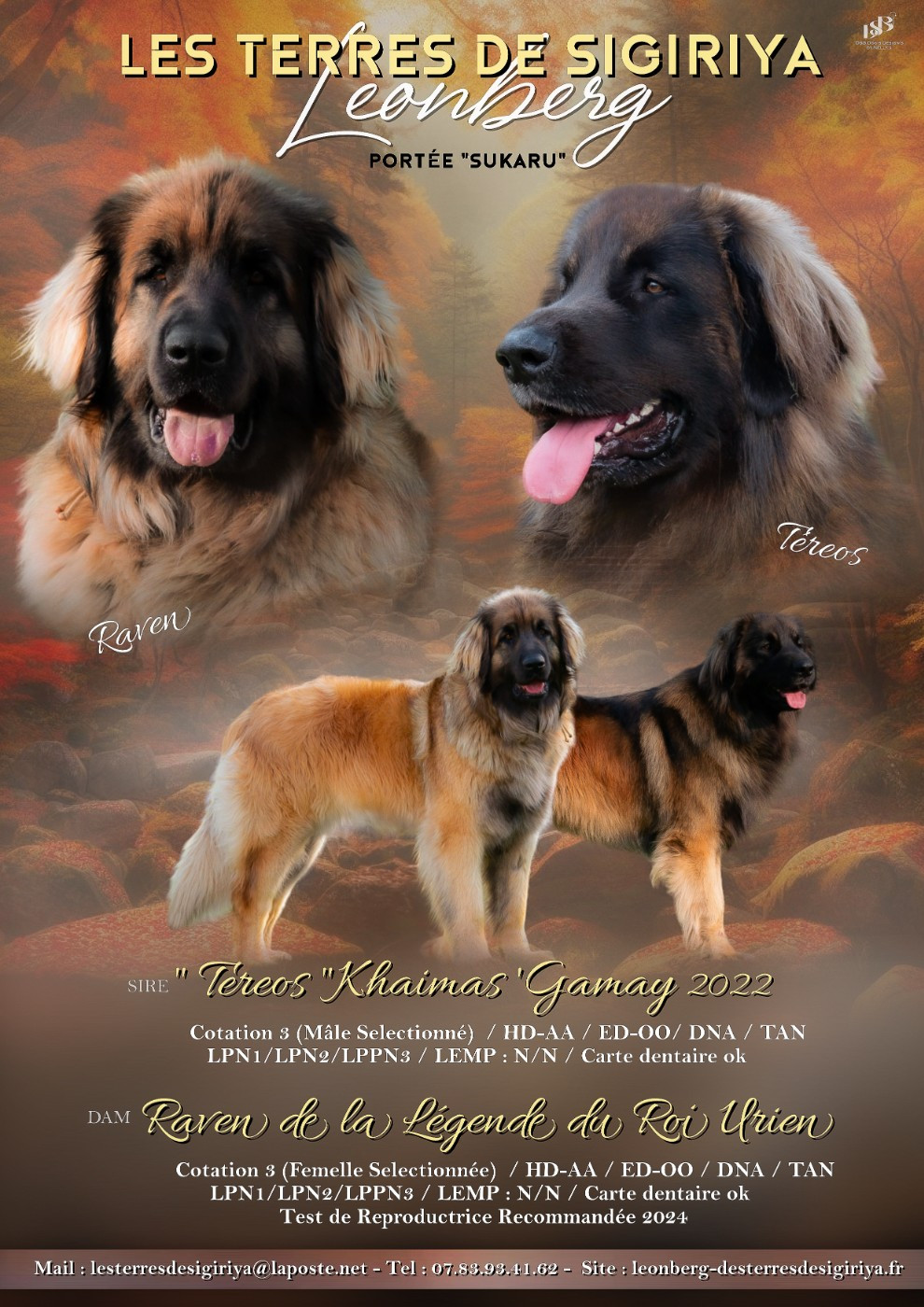 NAISSANCES AUTOMNE 2024